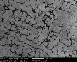 /static/micrographs/micrograph592.png