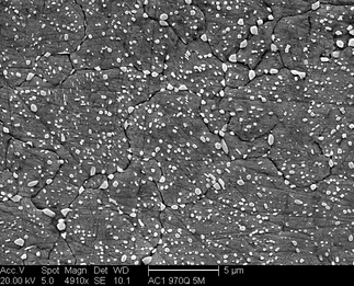 /static/micrographs/micrograph596.png
