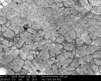 /static/micrographs/micrograph597.png