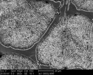 /static/micrographs/micrograph598.png