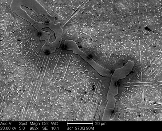 /static/micrographs/micrograph599.png