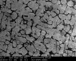 /static/micrographs/micrograph60.png