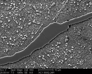 /static/micrographs/micrograph601.png