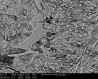 /static/micrographs/micrograph602.png