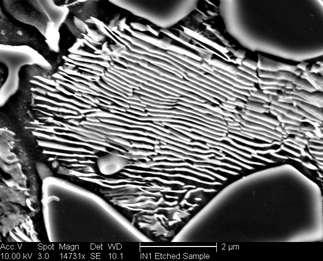 /static/micrographs/micrograph604.png