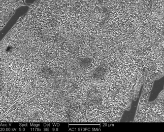 /static/micrographs/micrograph607.png