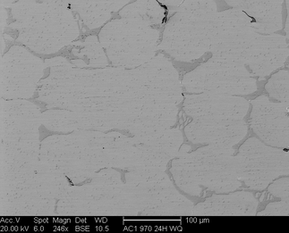 /static/micrographs/micrograph608.png