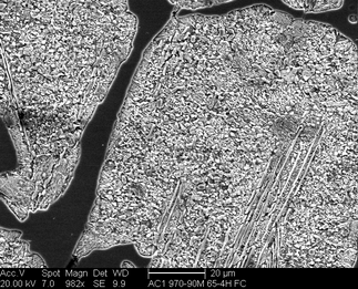 /static/micrographs/micrograph609.png