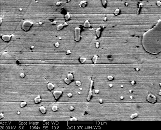 /static/micrographs/micrograph611.png