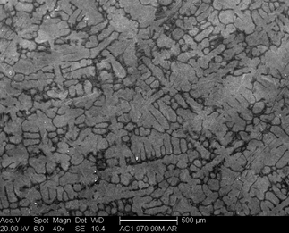 /static/micrographs/micrograph615.png