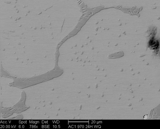 /static/micrographs/micrograph616.png