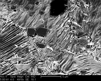 /static/micrographs/micrograph62.png