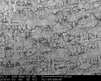 /static/micrographs/micrograph625.png