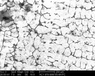 /static/micrographs/micrograph626.png