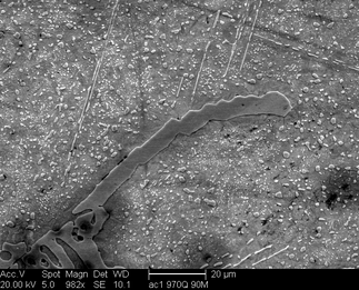 /static/micrographs/micrograph628.png