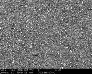 /static/micrographs/micrograph633.png