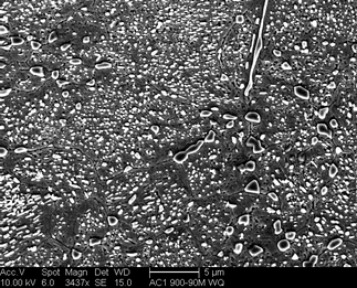 /static/micrographs/micrograph639.png