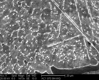 /static/micrographs/micrograph640.png