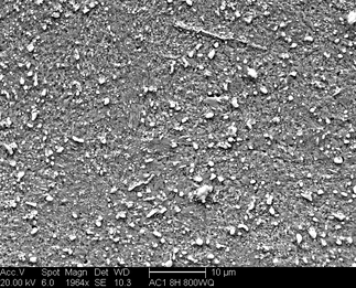 /static/micrographs/micrograph641.png