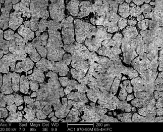 /static/micrographs/micrograph642.png