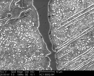 /static/micrographs/micrograph643.png