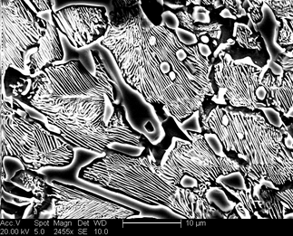 /static/micrographs/micrograph648.png