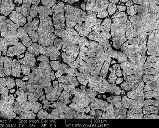 /static/micrographs/micrograph649.png