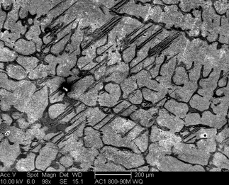 /static/micrographs/micrograph65.png