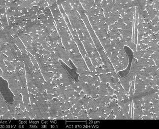 /static/micrographs/micrograph650.png