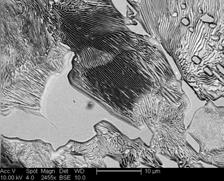 /static/micrographs/micrograph652.png