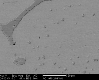 /static/micrographs/micrograph655.png