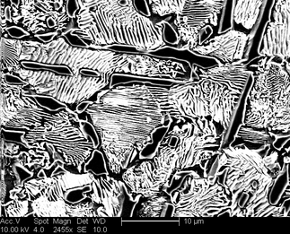 /static/micrographs/micrograph656.png