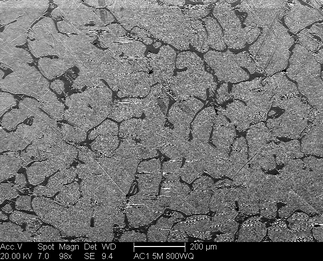 /static/micrographs/micrograph659.png