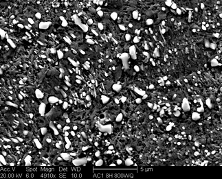 /static/micrographs/micrograph67.png