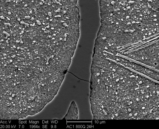 /static/micrographs/micrograph671.png