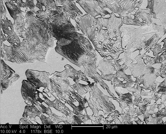 /static/micrographs/micrograph672.png