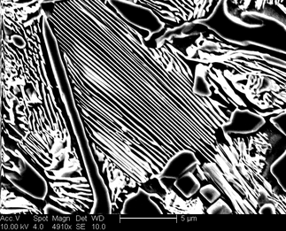 /static/micrographs/micrograph676.png