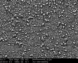 /static/micrographs/micrograph678.png