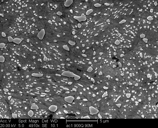 /static/micrographs/micrograph679.png