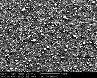 /static/micrographs/micrograph68.png