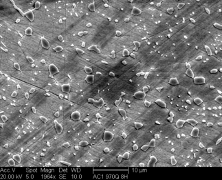 /static/micrographs/micrograph681.png