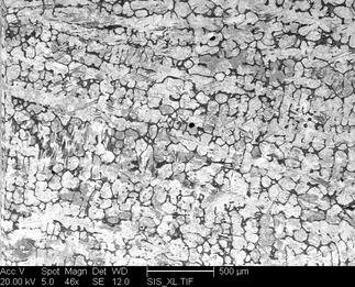 /static/micrographs/micrograph682.png