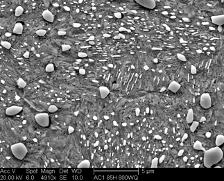 /static/micrographs/micrograph683.png