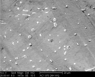 /static/micrographs/micrograph684.png
