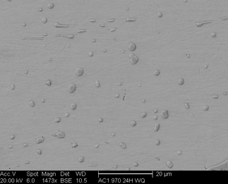 /static/micrographs/micrograph685.png