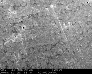 /static/micrographs/micrograph687.png