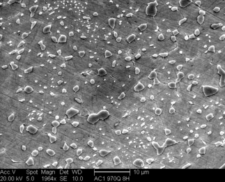 /static/micrographs/micrograph689.png