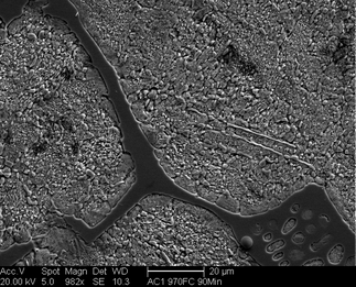 /static/micrographs/micrograph69.png