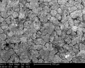 /static/micrographs/micrograph690.png