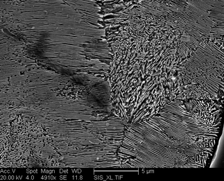 /static/micrographs/micrograph691.png